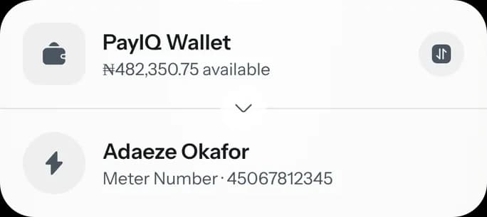 Paying an electricity bill from the PayIQ wallet