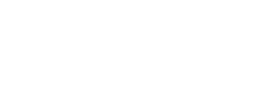 PayIQ